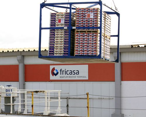 Fricasa Noatum Reefer Terminal
