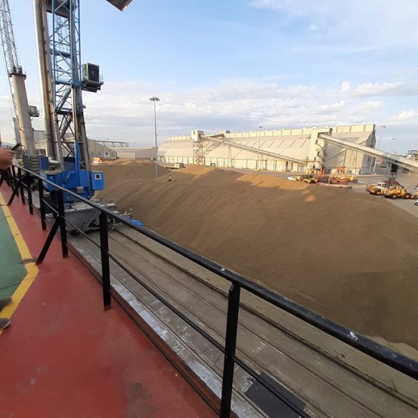 Agri-foodstuffs bulk cargo at Noatum Terminal Tarragona